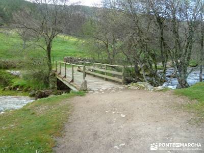 Cascadas Purgatorio,Bosque Finlandia; rutas madrid senderismo; hacer senderismo en madrid